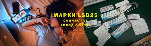 сатива Аркадак