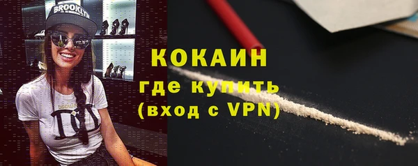 сатива Аркадак