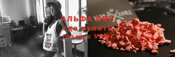 сатива Аркадак