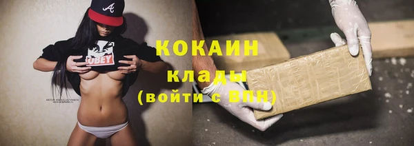 сатива Аркадак