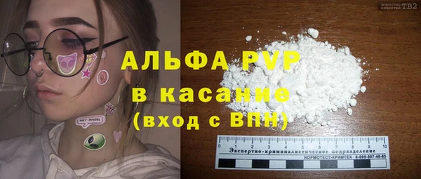 сатива Аркадак