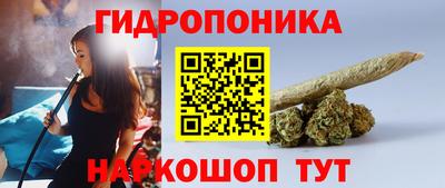 ALPHA PVP Новозыбков