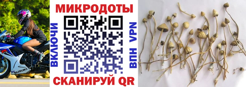 закладки  Барабинск  Галлюциногенные грибы Psilocybe 