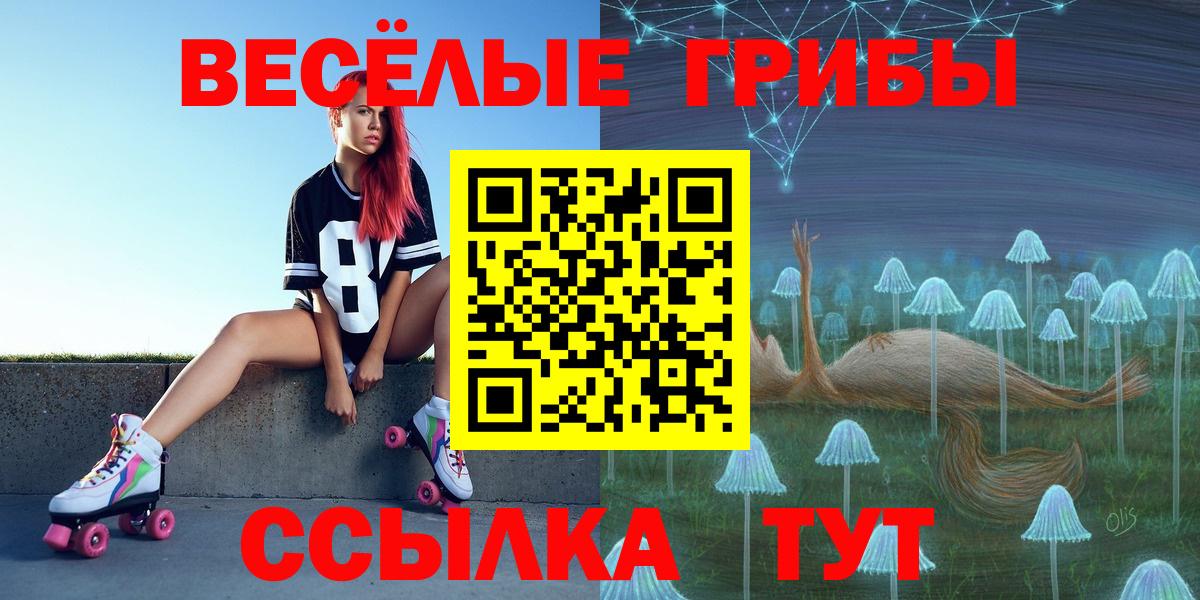 Псилоцибиновые грибы прущие грибы  Вход с VPN  Барабинск  Псилоцибиновые грибы прущие грибы 