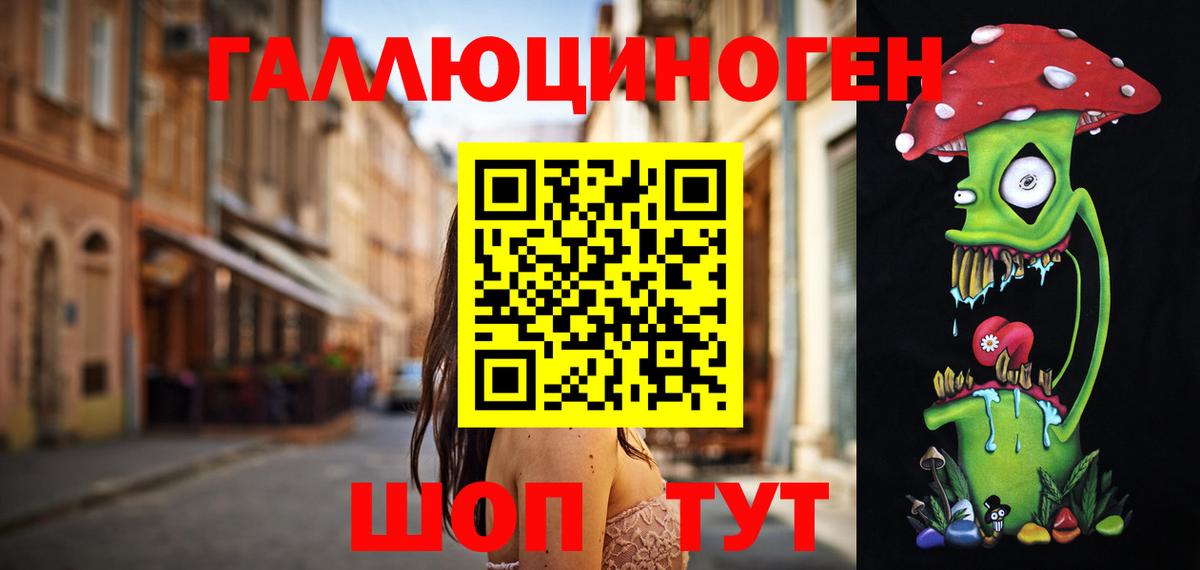 Галлюциногенные грибы Psilocybe Барабинск